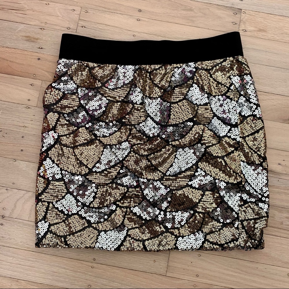 Gold & Silver Sequin Skirt